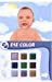 Baby Pals - Nintendo DS